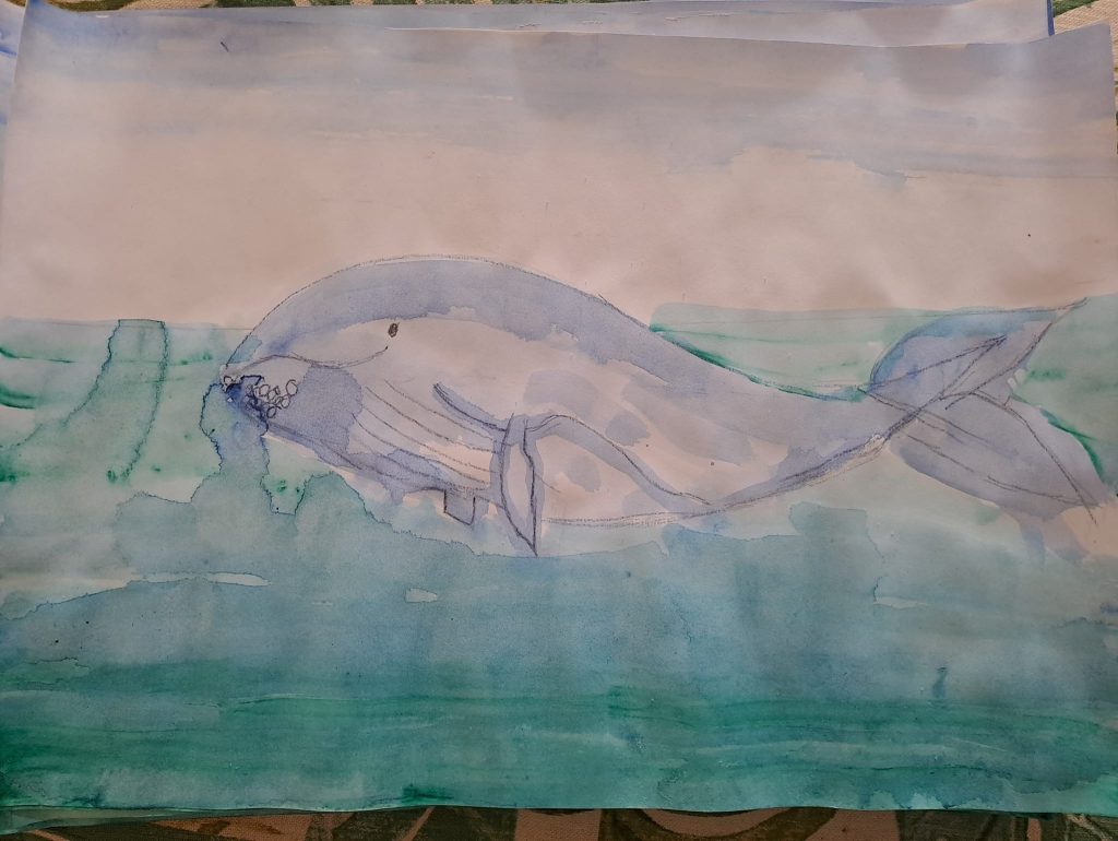 373070176_301927559262155_100388621897890859_n